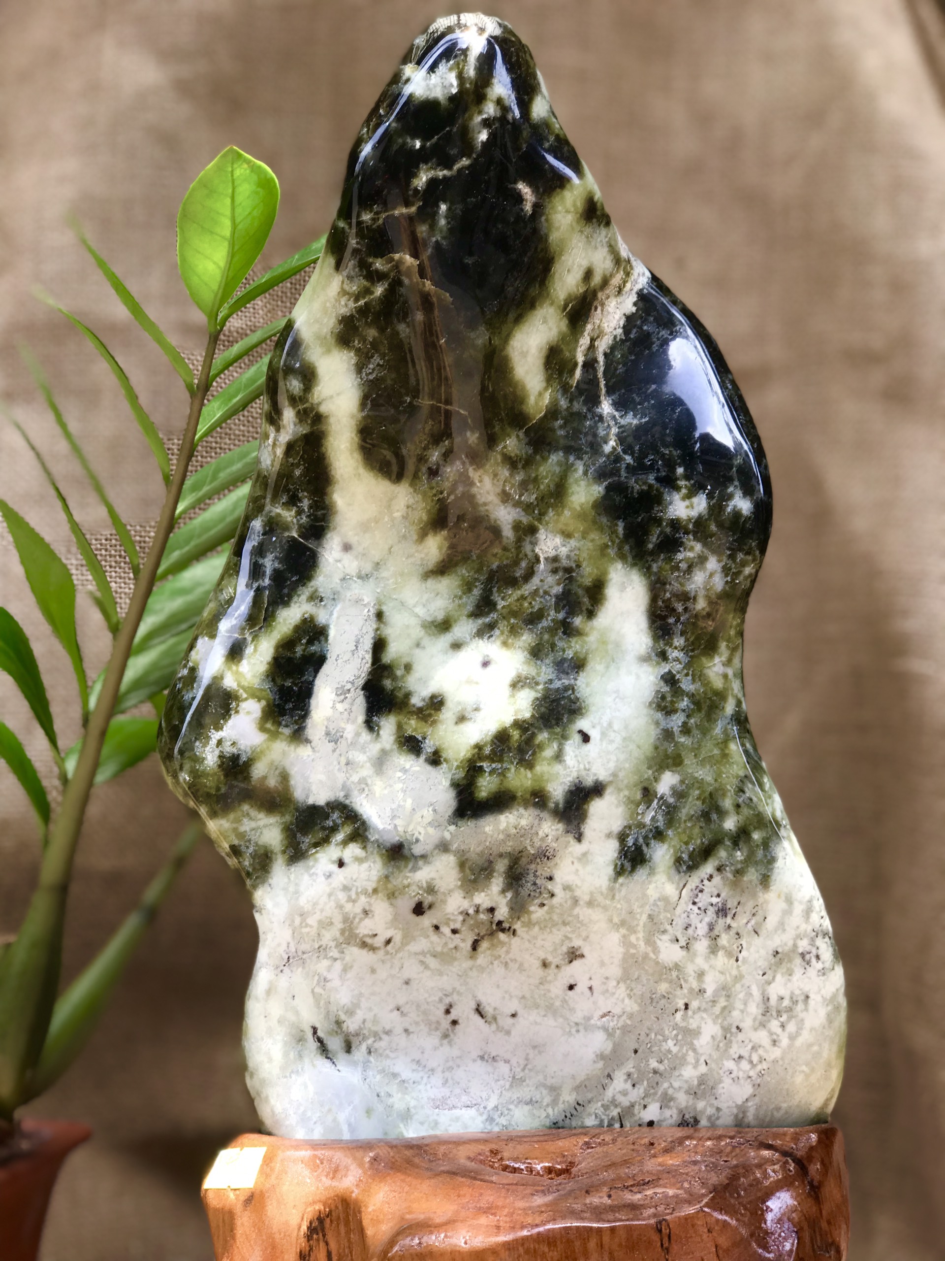 CÂY ĐÁ PHONG THỦY ĐỂ BÀN ĐÁ SERPENTINE XANH ĐEN +TRẮNGKT: 45X22CM (CAO GỒM ĐẾ 12CM) MS: VS47
