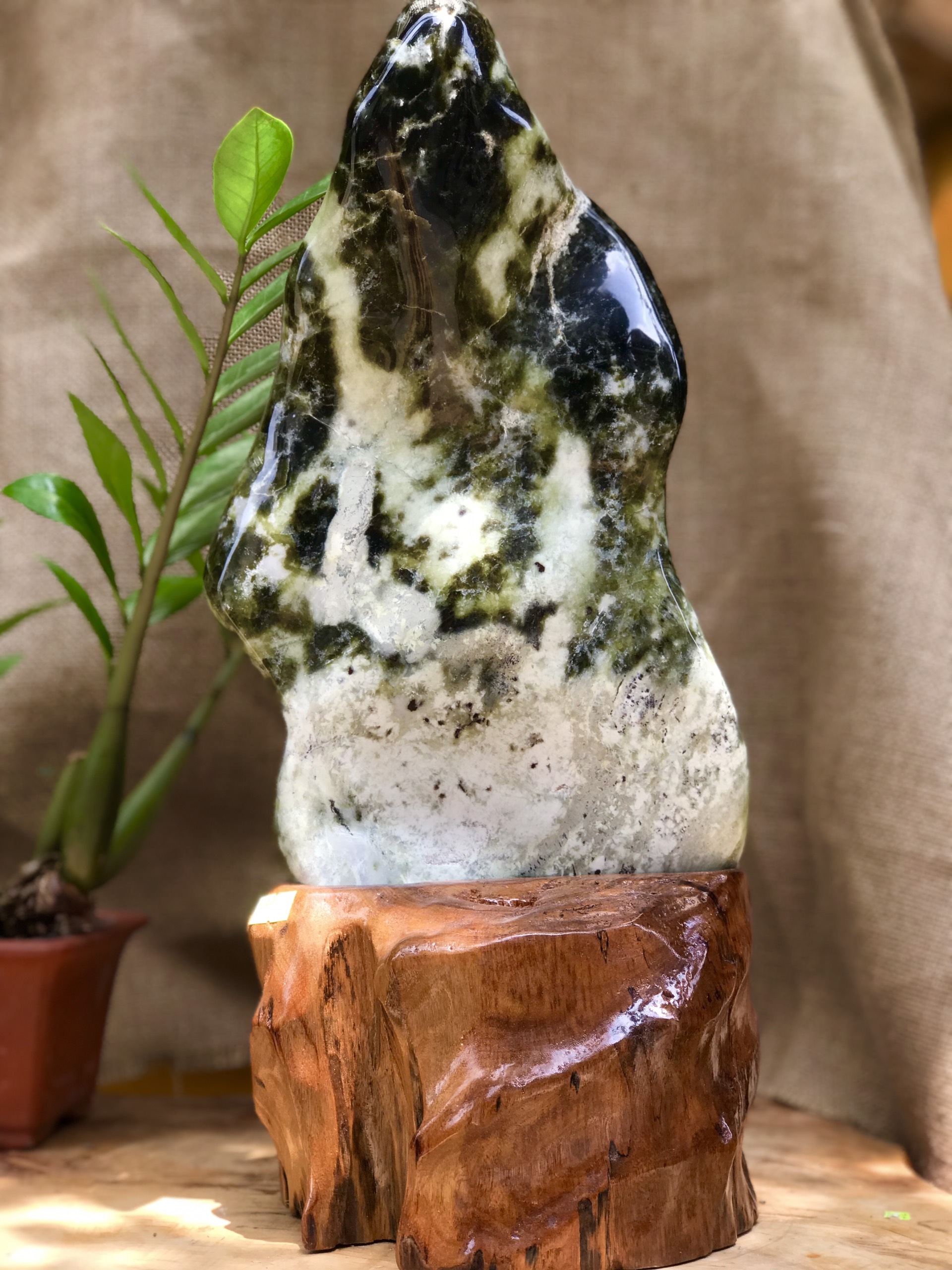 CÂY ĐÁ PHONG THỦY ĐỂ BÀN ĐÁ SERPENTINE XANH ĐEN +TRẮNGKT: 45X22CM (CAO GỒM ĐẾ 12CM) MS: VS47