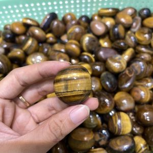 PALM TIGER EYE - đá mắt hổ vàng dạng viên - đá màu tím sưu tầm, thanh tẩy