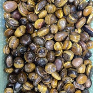 PALM TIGER EYE - đá mắt hổ vàng dạng viên - đá màu tím sưu tầm, thanh tẩy