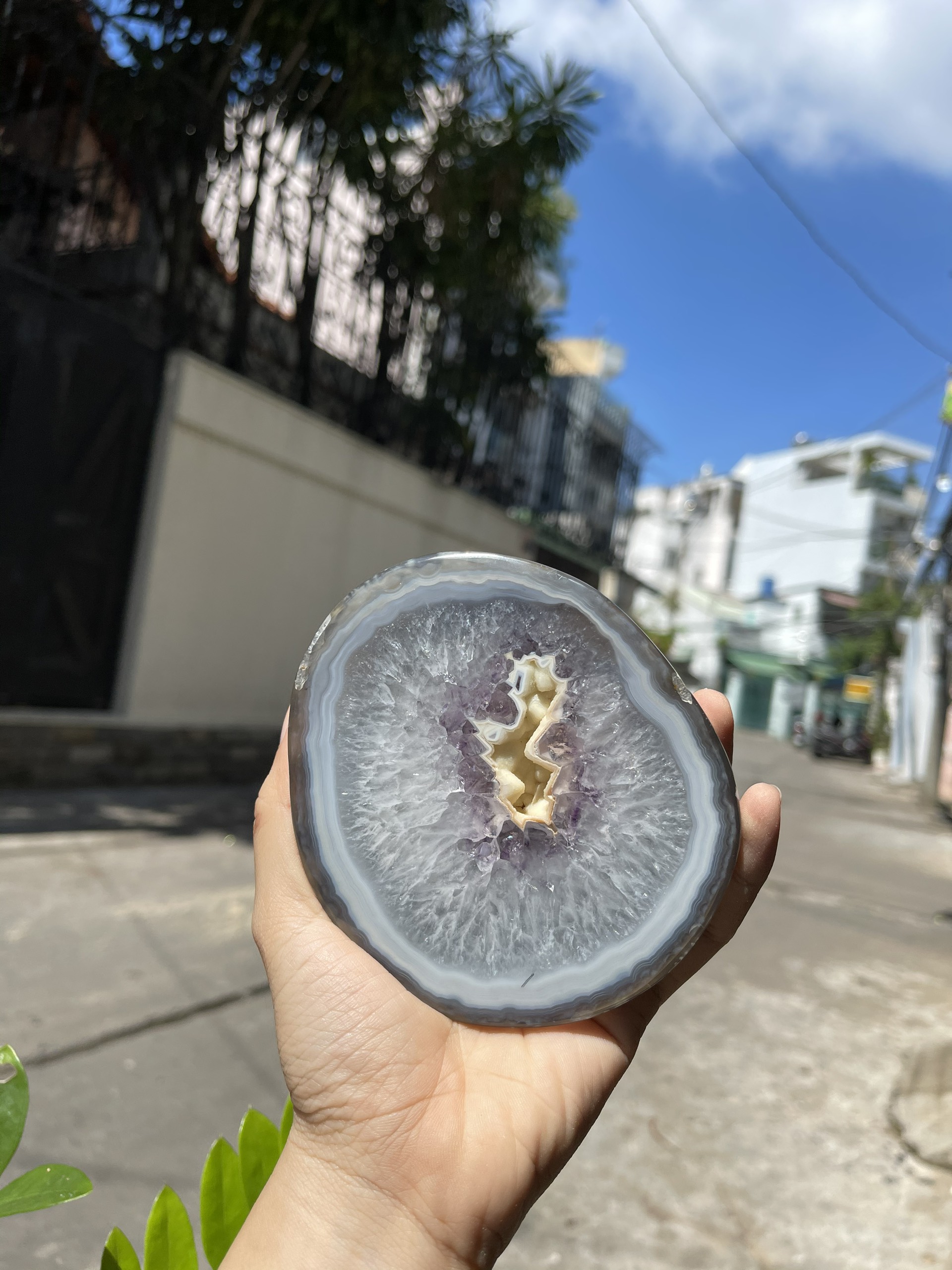 BÁT TỤ LỘC KT: 21x16 CM