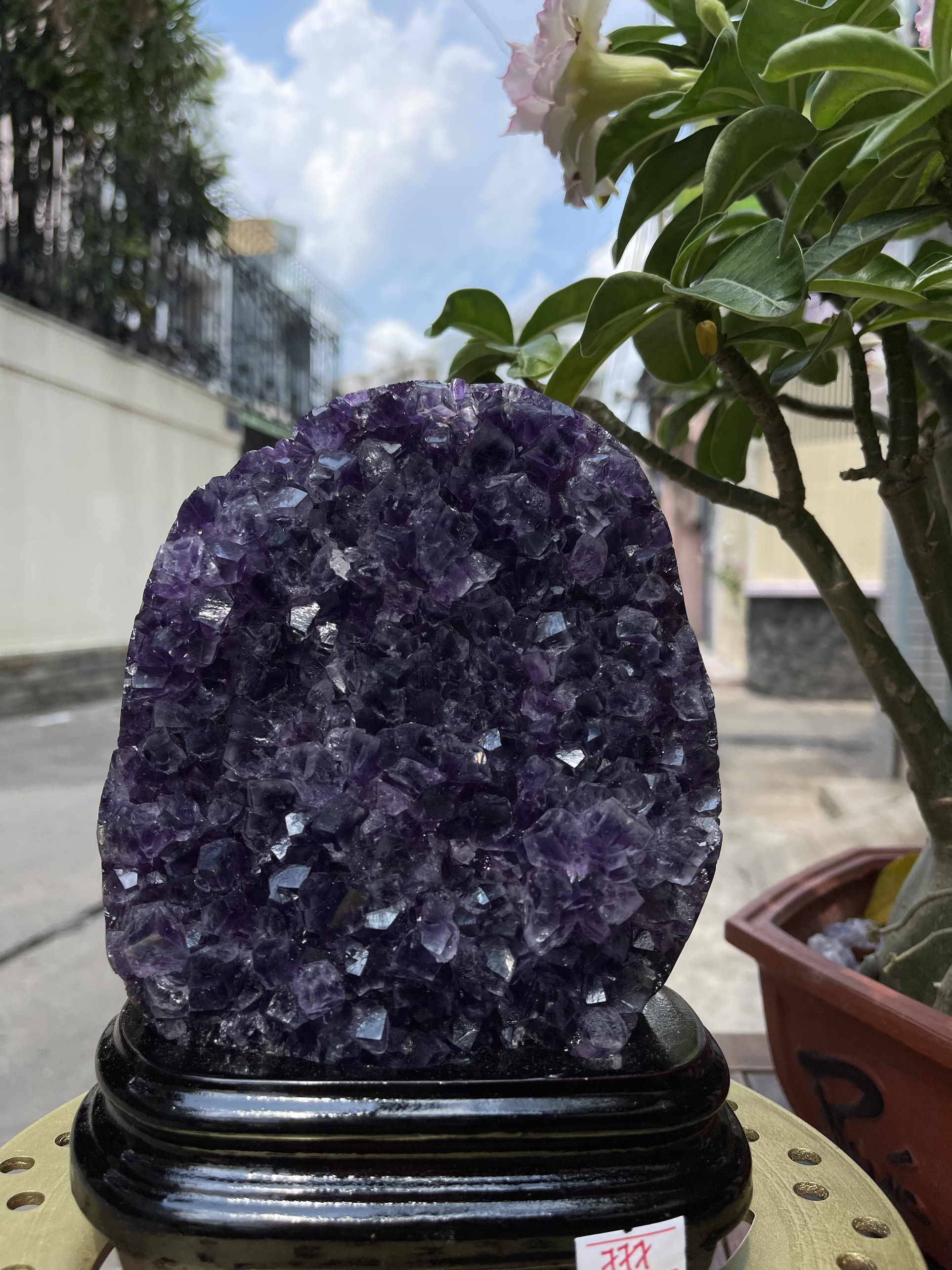 Bông thạch anh tím đậm - AMETHYST GEODE KT 19x14.5 CM (MS: TIM777)