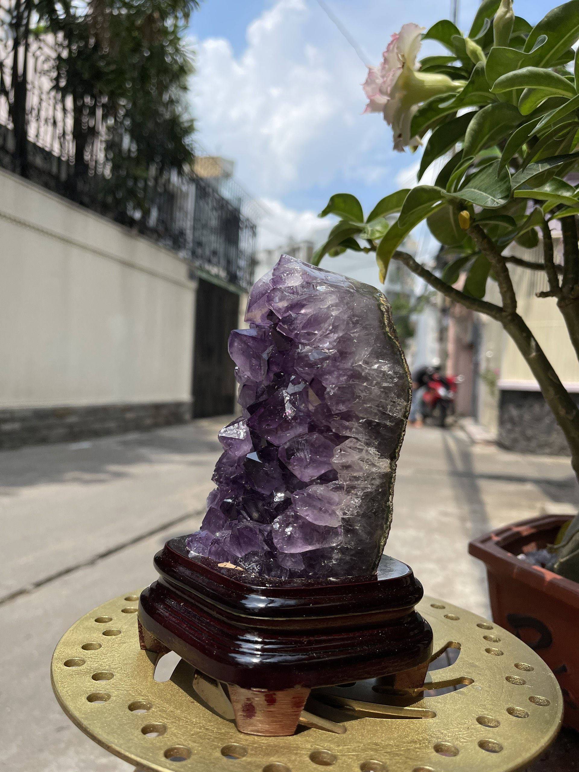 Bông thạch anh tím đậm - AMETHYST GEODE KT 18.5x9 CM (MS: TIM778)