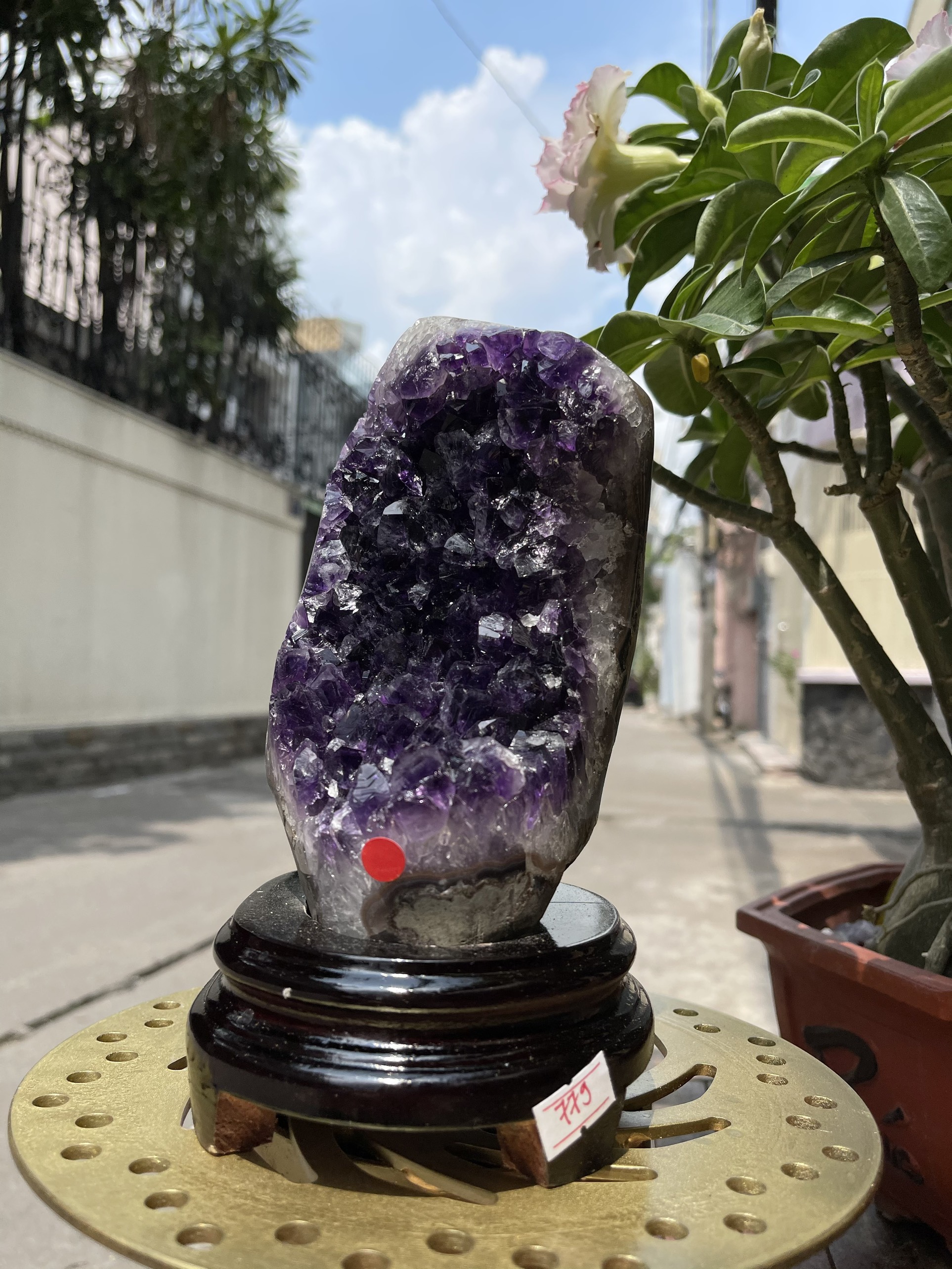 Bông thạch anh tím đậm - AMETHYST GEODE KT 20x11 CM (MS: TIM779)