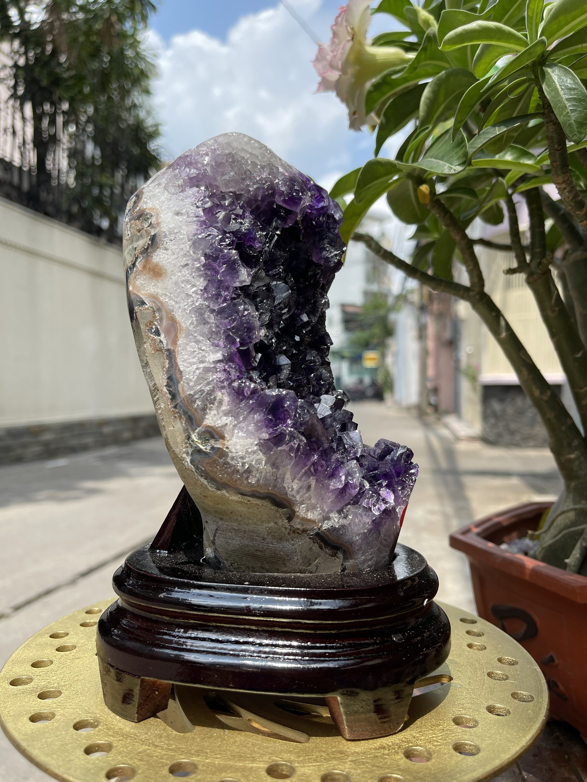 Bông thạch anh tím đậm - AMETHYST GEODE KT 20x11 CM (MS: TIM779)