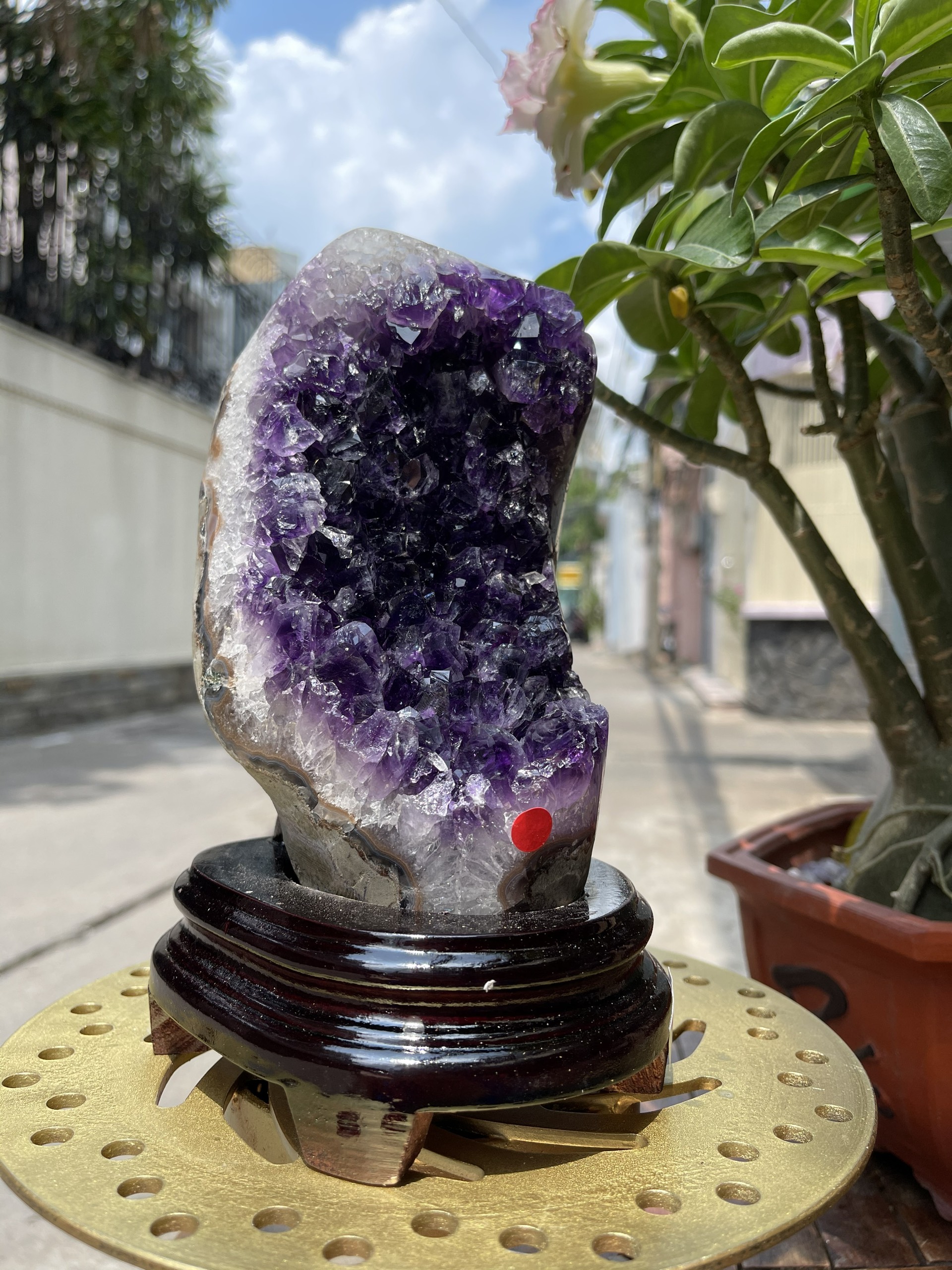 Bông thạch anh tím đậm - AMETHYST GEODE KT 20x11 CM (MS: TIM779)