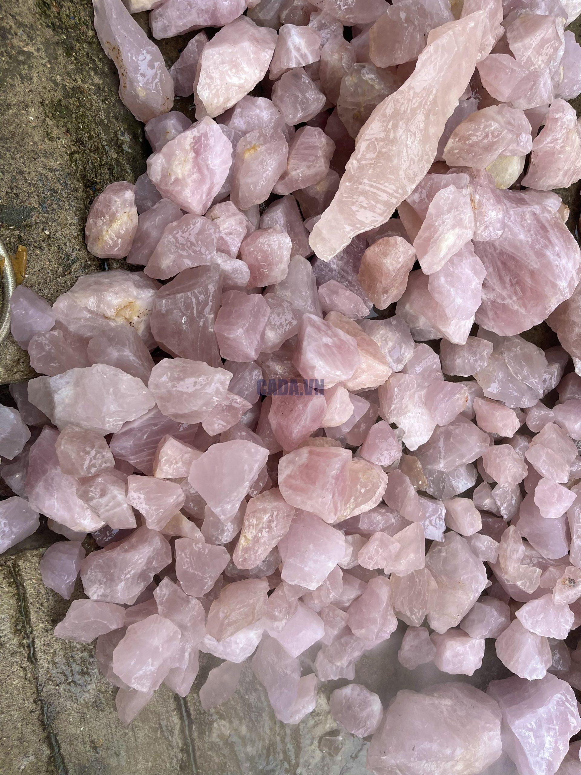Đá thô Thạch Anh Hồng tự nhiên - đá rải nền nhà, thanh tẩy, sưu tầm