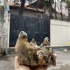 CỤM TINH THỂ THẠCH ANH KHÓI VÀNG - Smoky citrine quartz