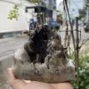 CỤM TINH THỂ THẠCH ANH KHÓI - Smoky quartz