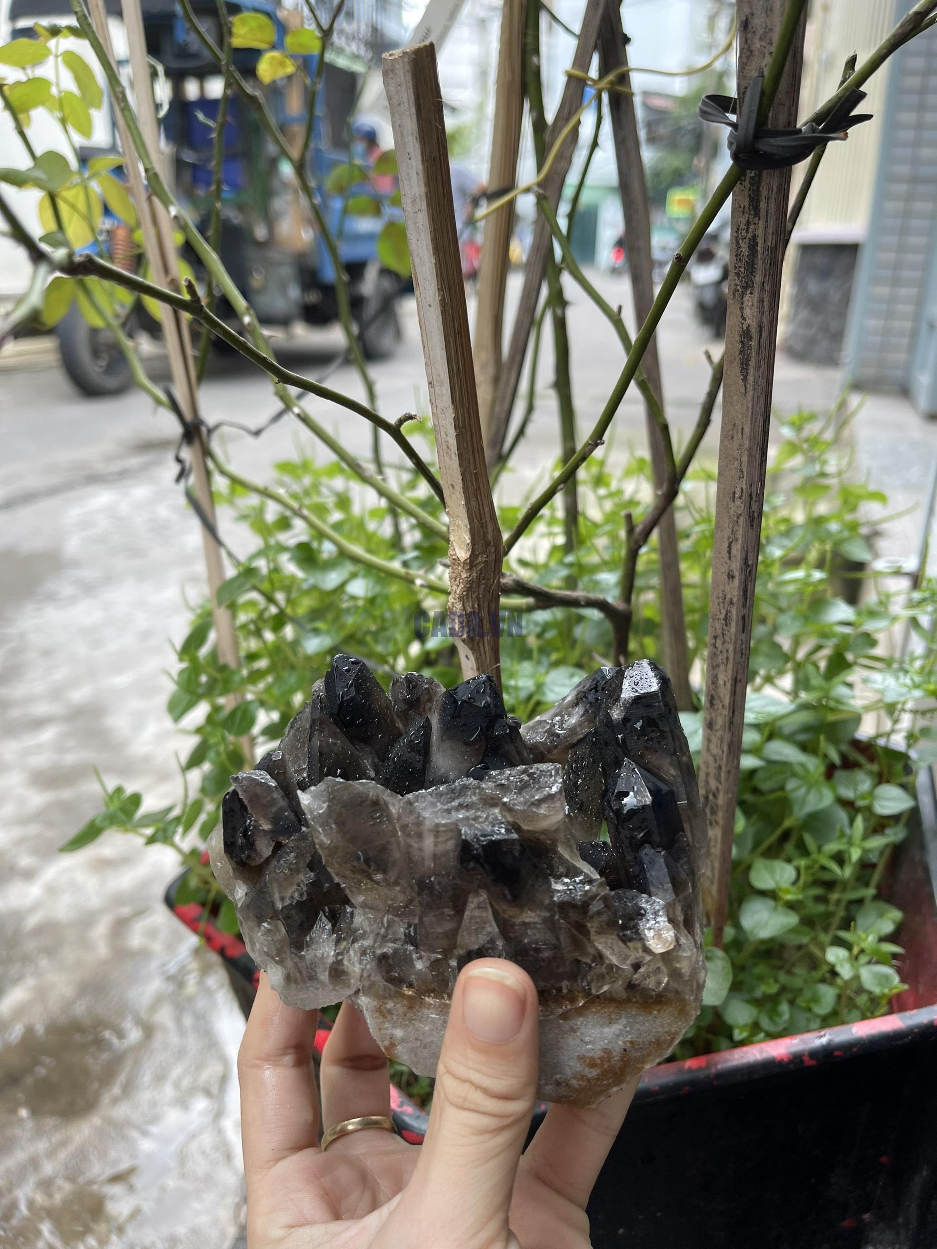 CỤM TINH THỂ THẠCH ANH KHÓI - Smoky quartz