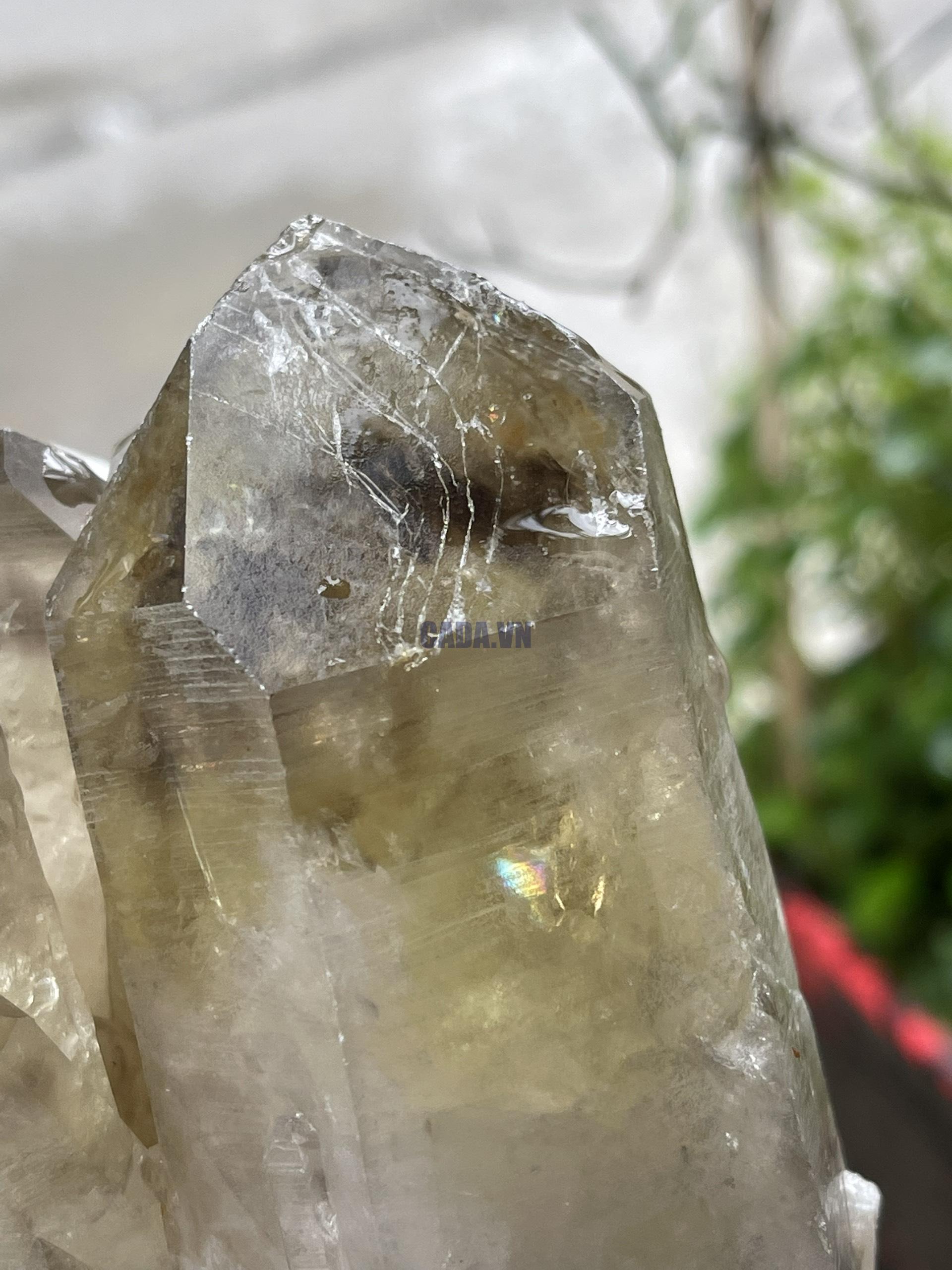 CỤM TINH THỂ THẠCH ANH KHÓI VÀNG - Smoky citrine quartz