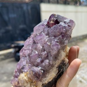 CỤM TINH THỂ THẠCH ANH TÍM