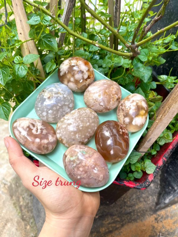 Palm Blossom Agate - Đá Ma Não Hoa Anh Đào