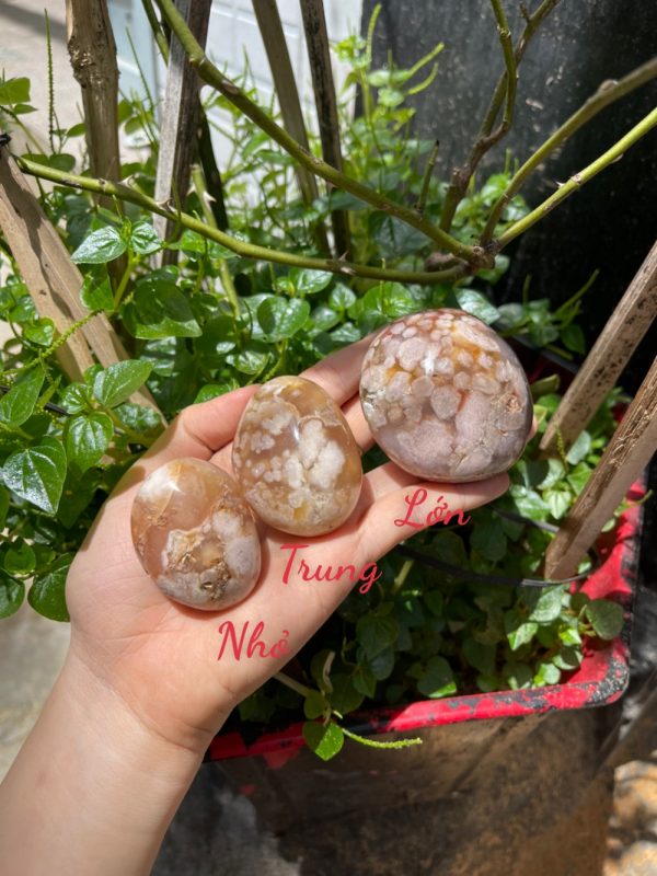Palm Blossom Agate - Đá Ma Não Hoa Anh Đào