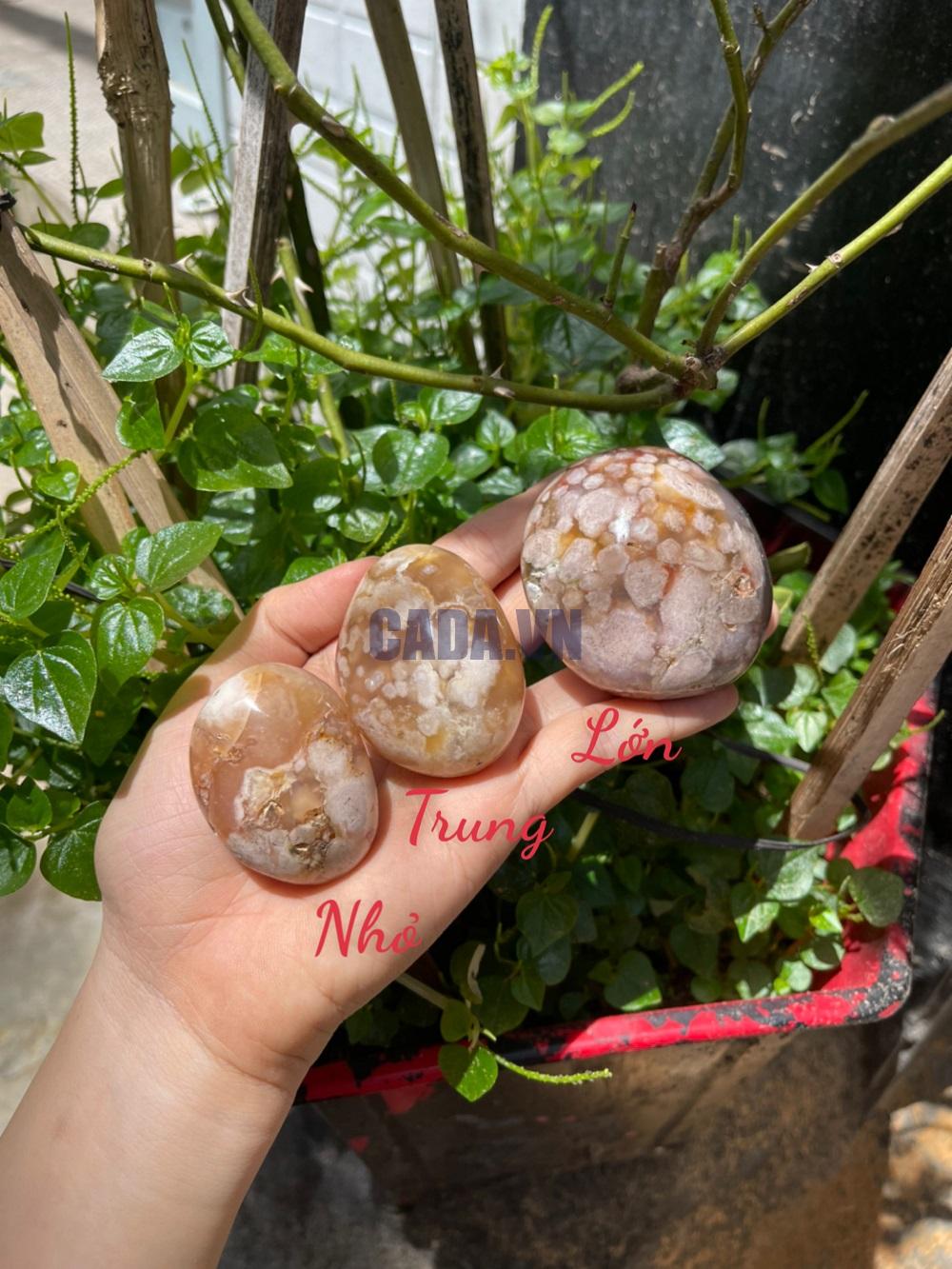 Palm Blossom Agate - Đá Ma Não Hoa Anh Đào