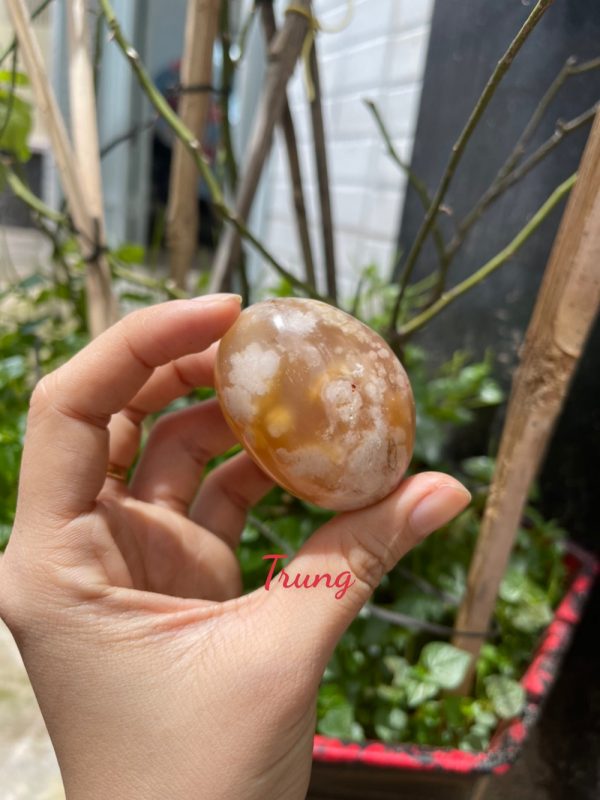 Palm Blossom Agate - Đá Ma Não Hoa Anh Đào