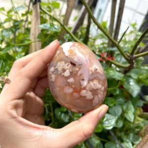 Palm Blossom Agate - Đá Ma Não Hoa Anh Đào