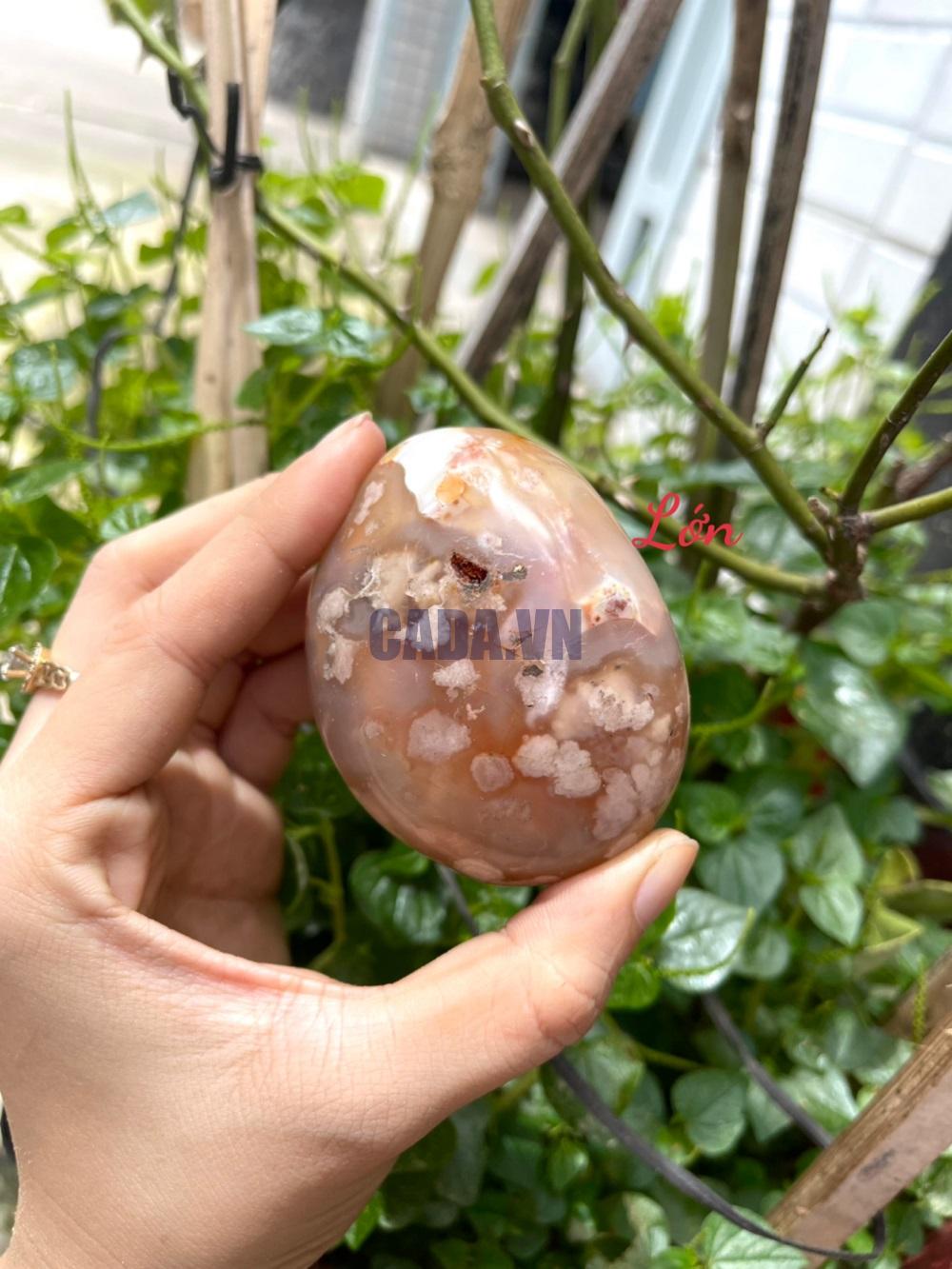 Palm Blossom Agate - Đá Ma Não Hoa Anh Đào