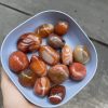 Palm đá mã não đỏ cam - Agate Palm - Đá thanh tẩy, sưu tầm