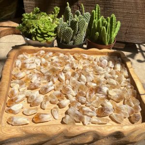 Citrine raw point - Mầm thạch anh vàng thô - Đá thanh tẩy, tarot, sưu tầm