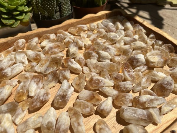 Citrine raw point - Mầm thạch anh vàng thô - Đá thanh tẩy, tarot, sưu tầm