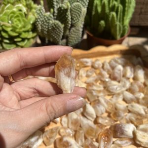 Citrine raw point - Mầm thạch anh vàng thô - Đá thanh tẩy, tarot, sưu tầm