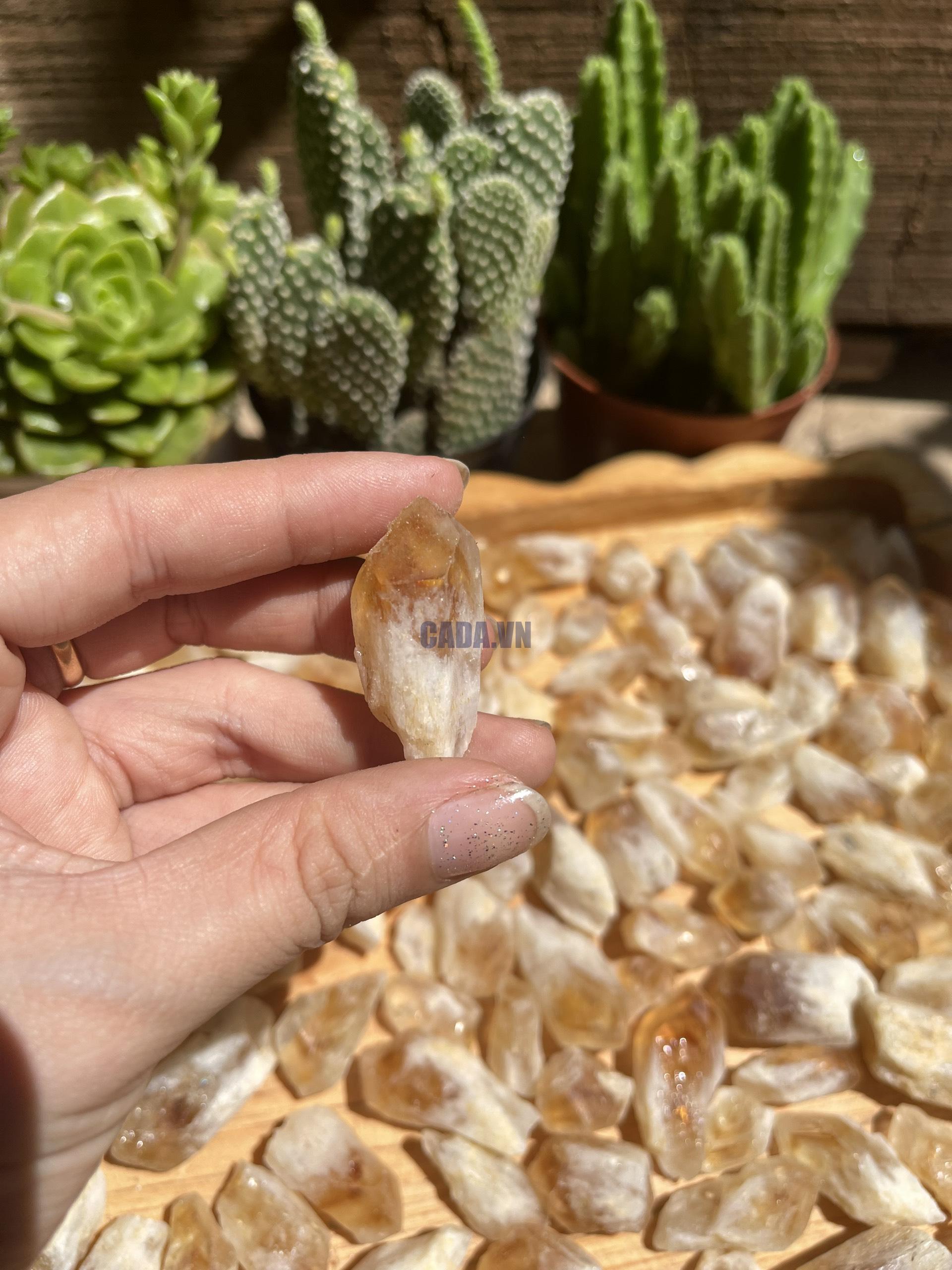 Citrine raw point - Mầm thạch anh vàng thô - Đá thanh tẩy, tarot, sưu tầm