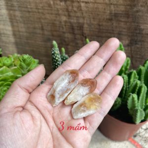 Citrine raw point - Mầm thạch anh vàng thô - Đá thanh tẩy, tarot, sưu tầm