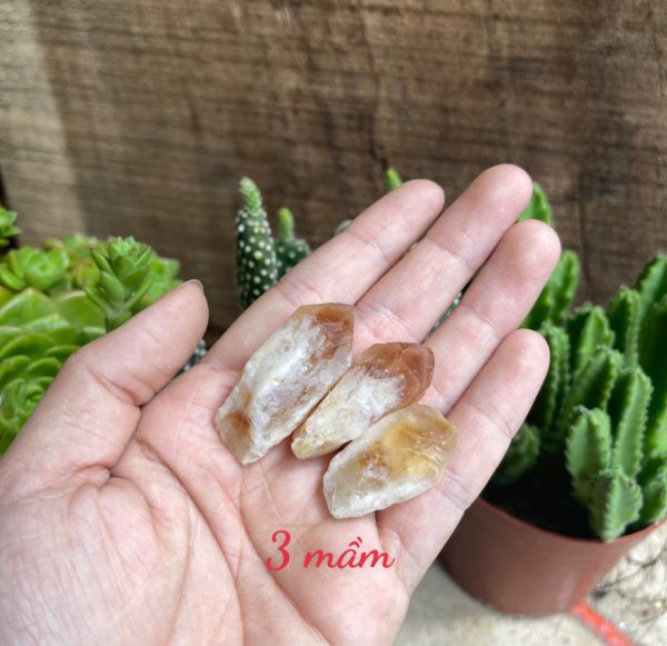 Citrine raw point - Mầm thạch anh vàng thô - Đá thanh tẩy, tarot, sưu tầm