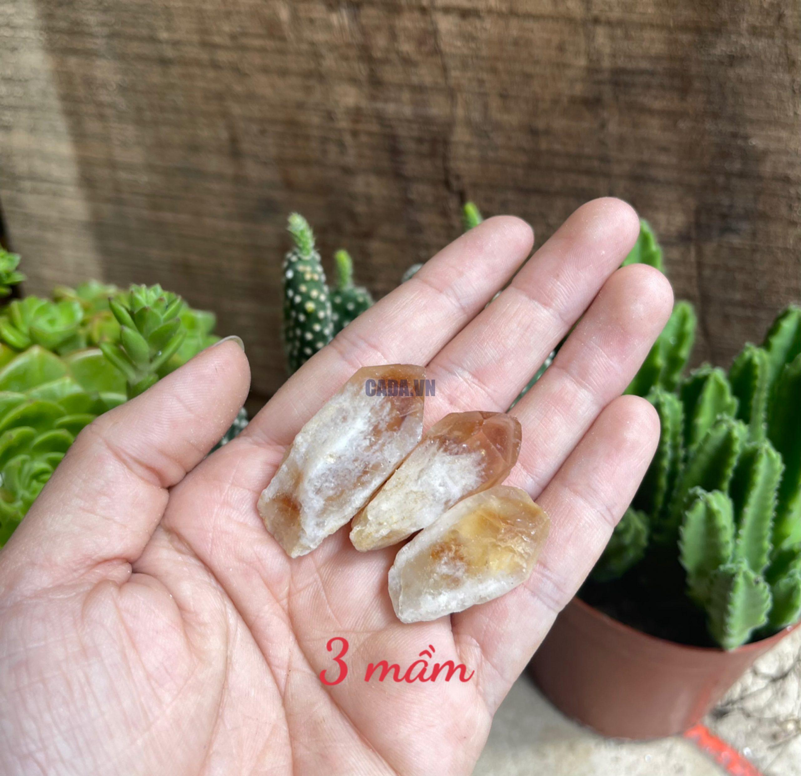 Citrine raw point - Mầm thạch anh vàng thô - Đá thanh tẩy, tarot, sưu tầm