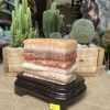 ĐÁ THỊT HEO - ĐÁ PHÚ QUÝ (HE53), KT: 14x12x6.5 CM, KL: 2.28 KG