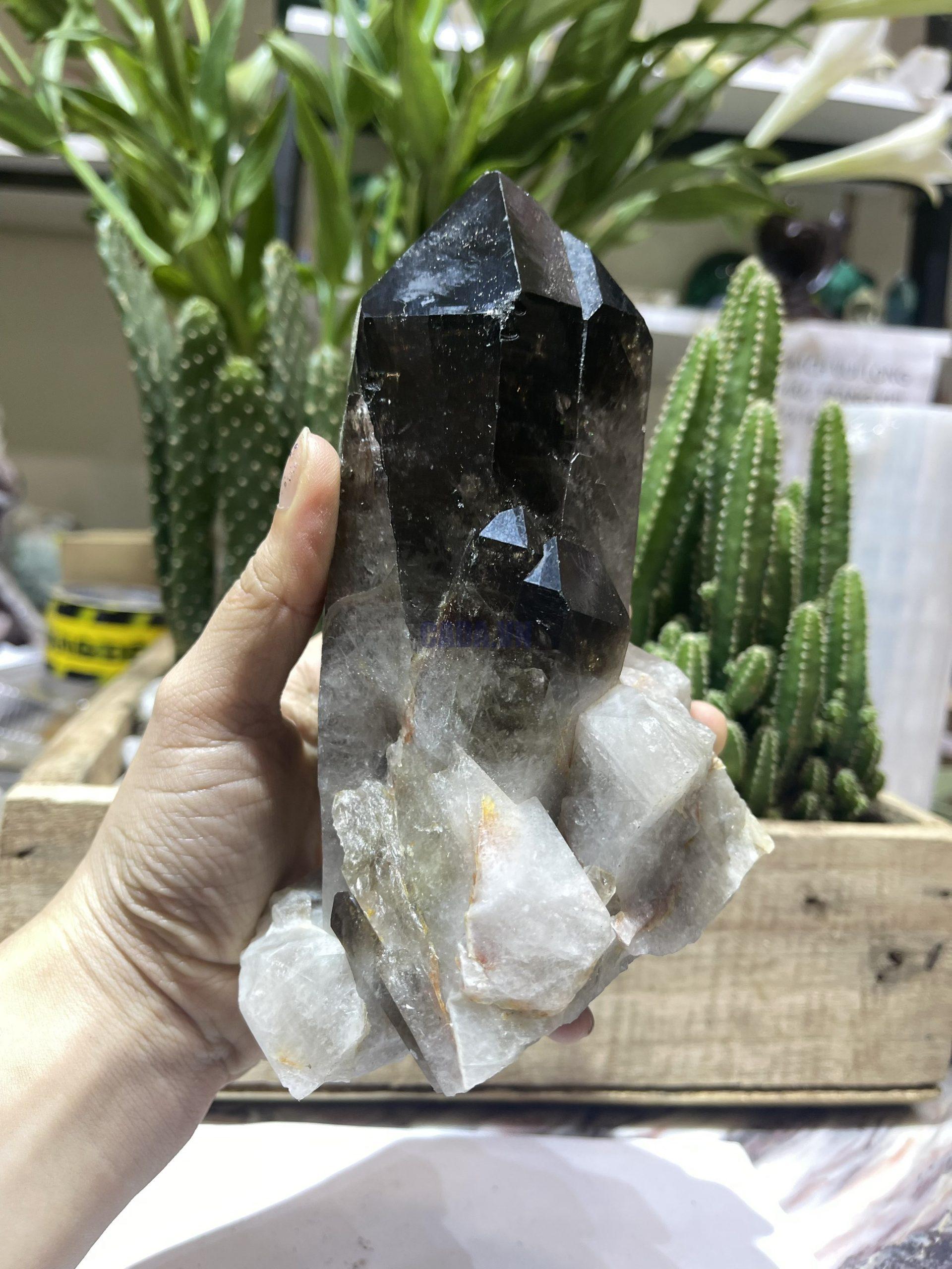 Mầm Thạch Anh Khói - Smoky Quartz (KT07), KT: 15x11 CM, KL: 1.16 KG