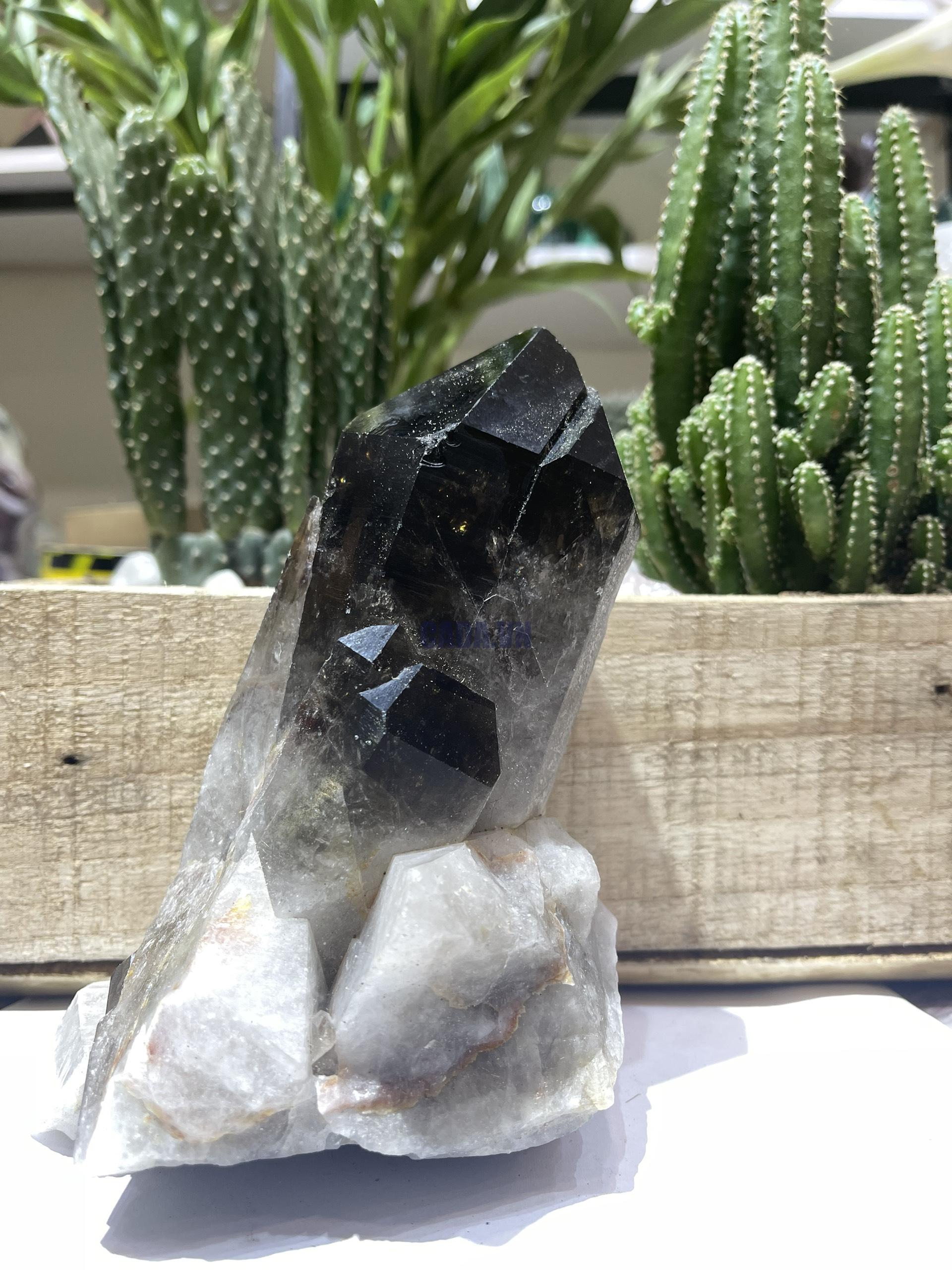 Mầm Thạch Anh Khói - Smoky Quartz (KT07), KT: 15x11 CM, KL: 1.16 KG