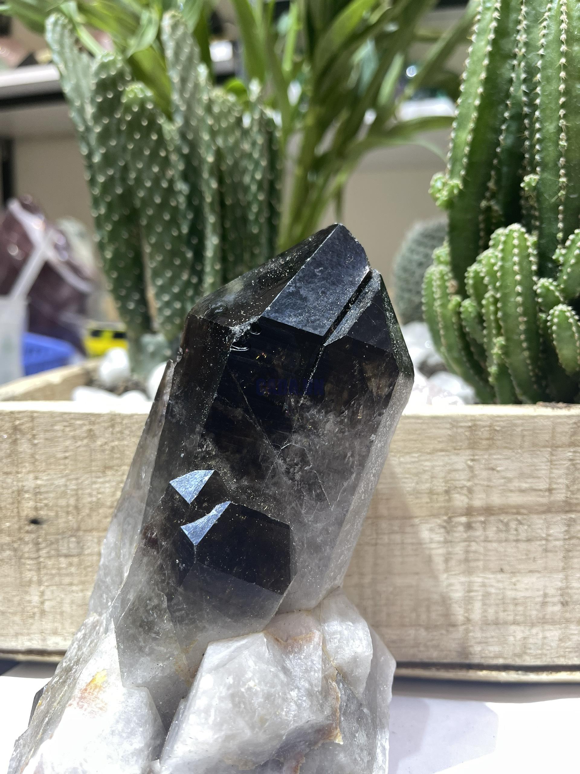 Mầm Thạch Anh Khói - Smoky Quartz (KT07), KT: 15x11 CM, KL: 1.16 KG