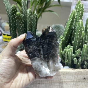 Mầm Thạch Anh Khói - Smoky Quartz (KT03), KT: 8.5x7 CM, KL: 0.36 KG