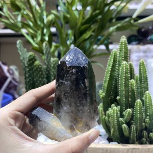 Mầm Thạch Anh Khói - Smoky Quartz (KT02), KT: 9x8 CM, KL: 0.31 KG