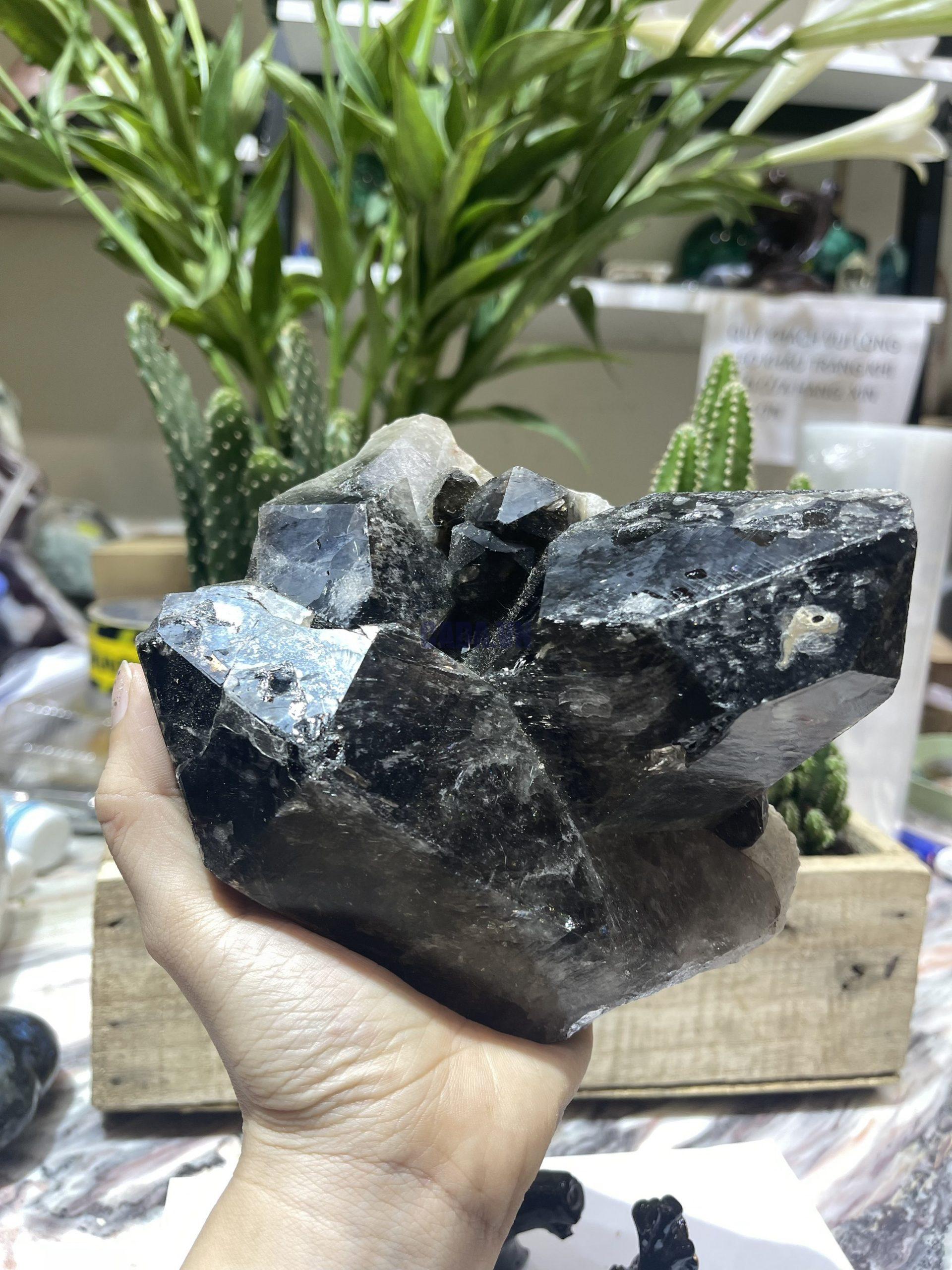 Mầm Thạch Anh Khói - Smoky Quartz (KT1), KT: 15x14 CM, KL: 1.38 KG