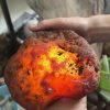 Đá Mã Não cuội thông đèn tốt - Mã Não Đỏ - Red Agate (NC03)