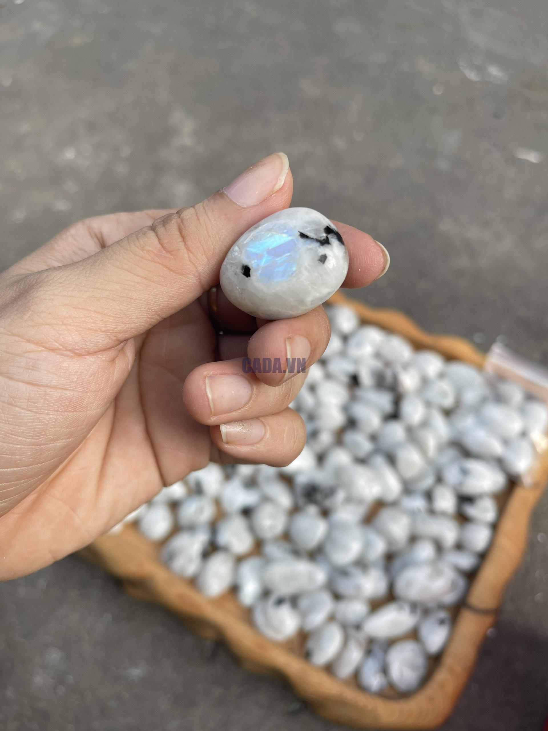 Tumbled Moonstone - đá Mặt Trăng dạng sỏi