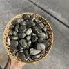 Pyrite Tumbled Stones | Đá thanh tẩy, sưu tầm