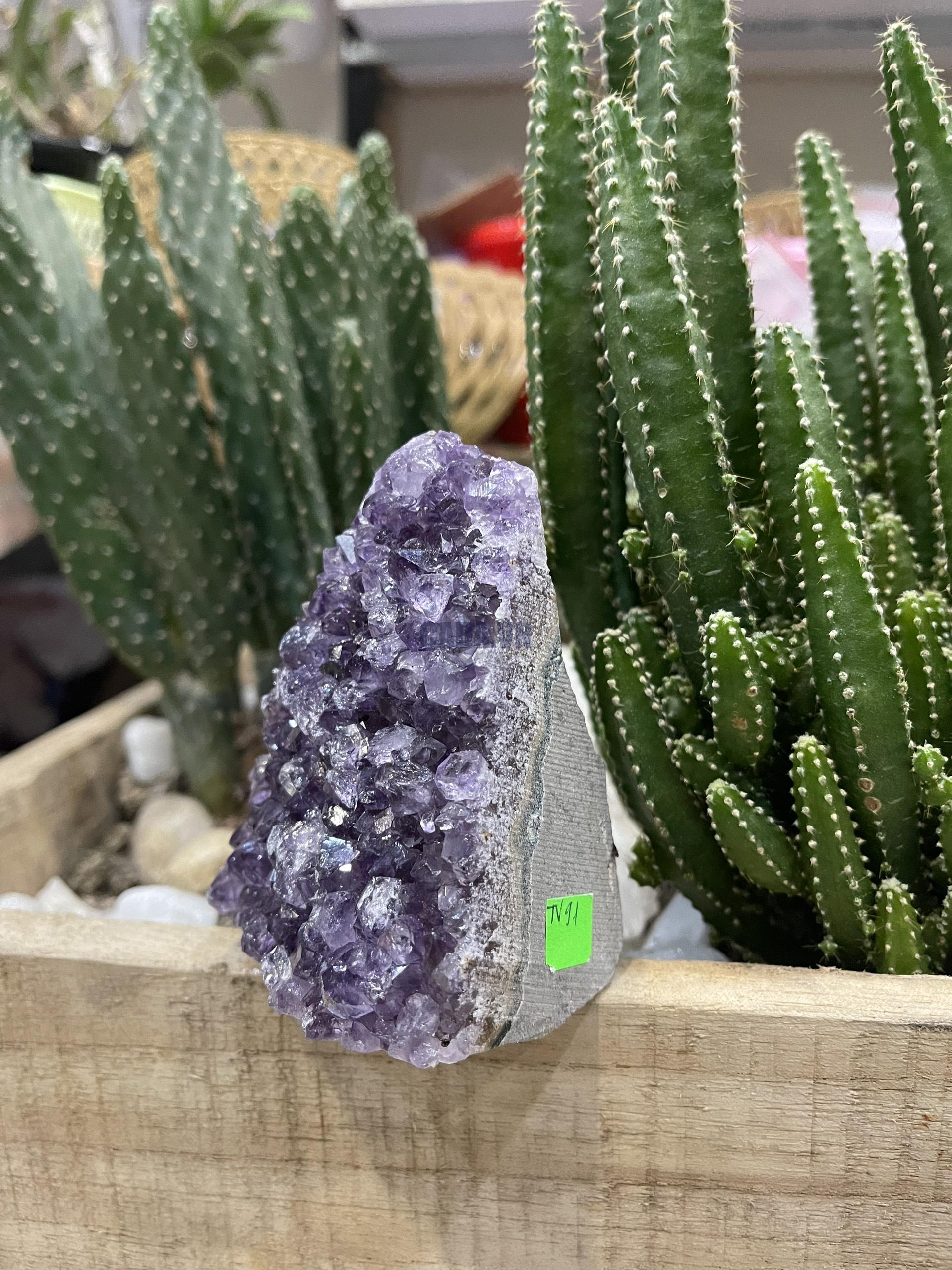 BÔNG THẠCH ANH TÍM - SMALL AMETHYST GEODE (TV91)