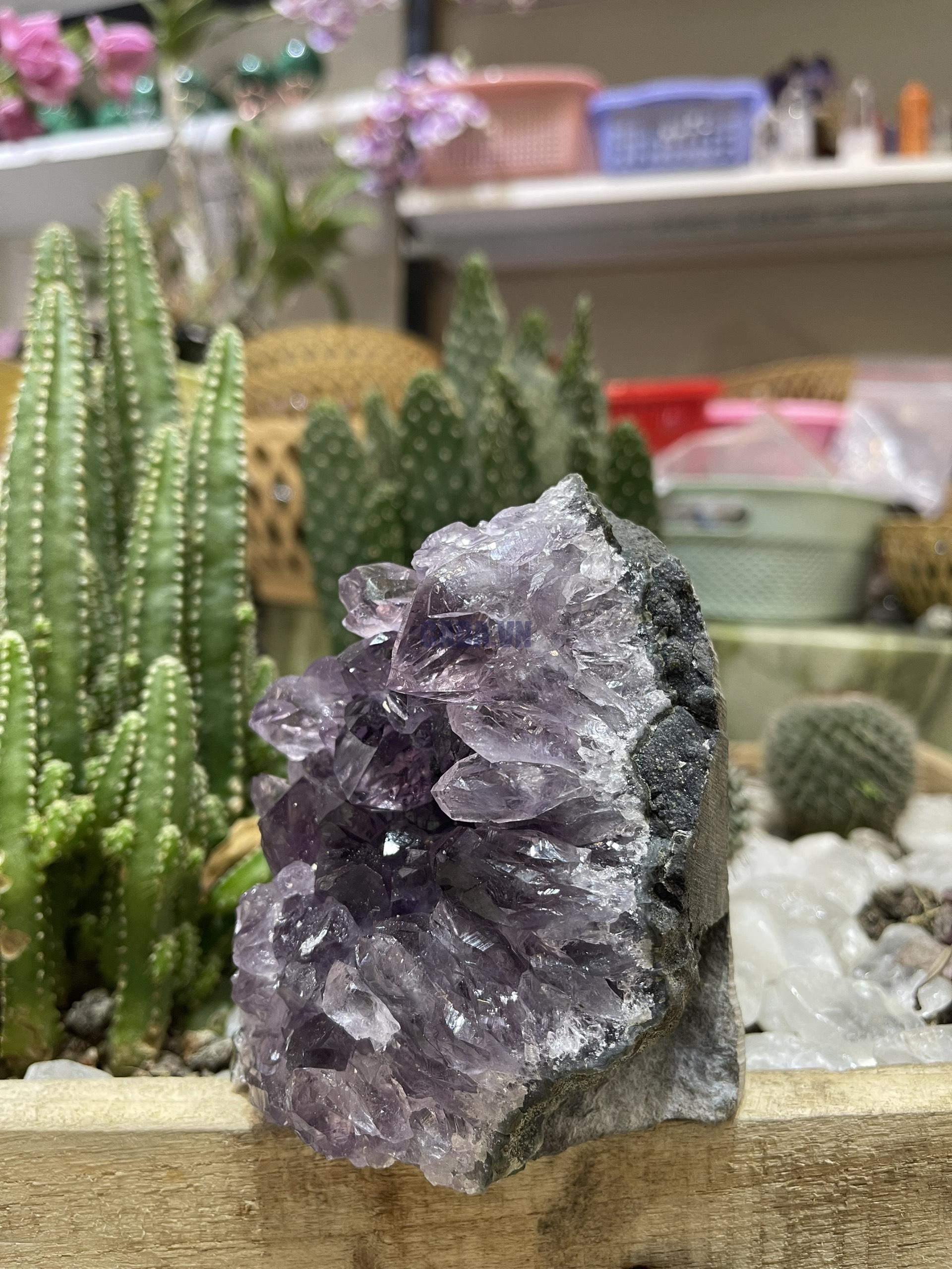 HỐC THẠCH ANH TÍM NHỎ - SMALL AMETHYST GEODE (TV93)