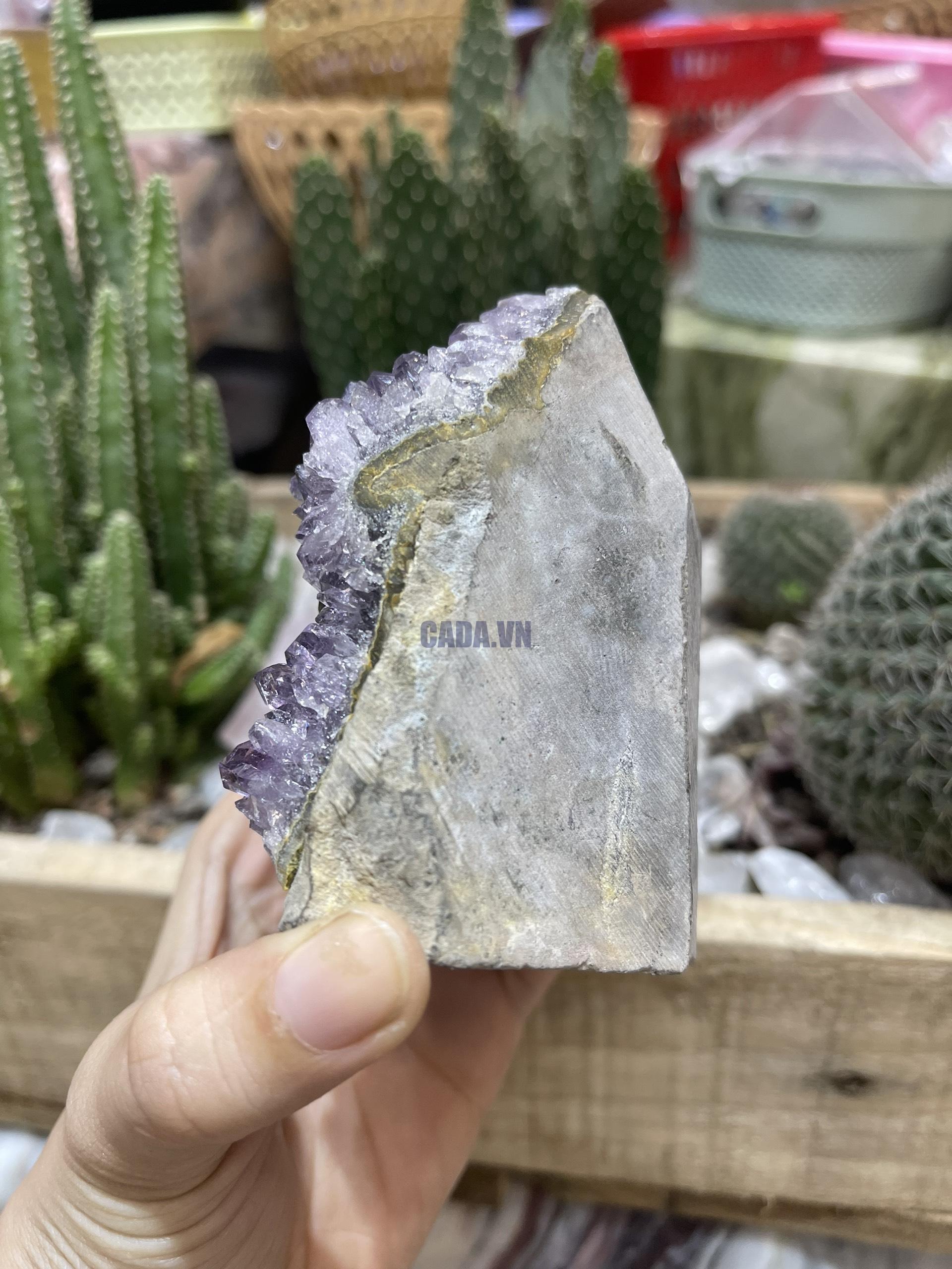 HỐC THẠCH ANH TÍM NHỎ - SMALL AMETHYST GEODE (TV96)