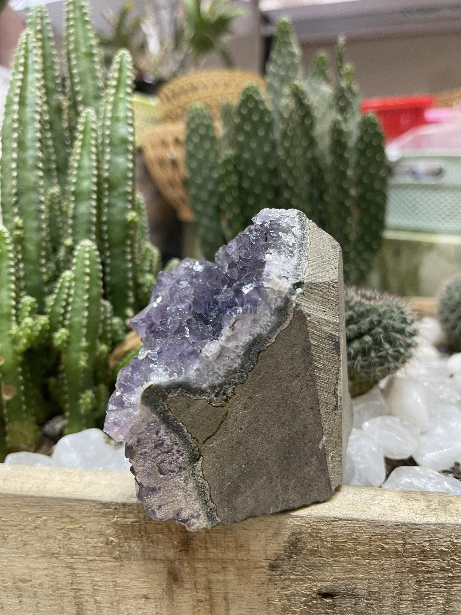 HỐC THẠCH ANH TÍM NHỎ - SMALL AMETHYST GEODE (TV99)