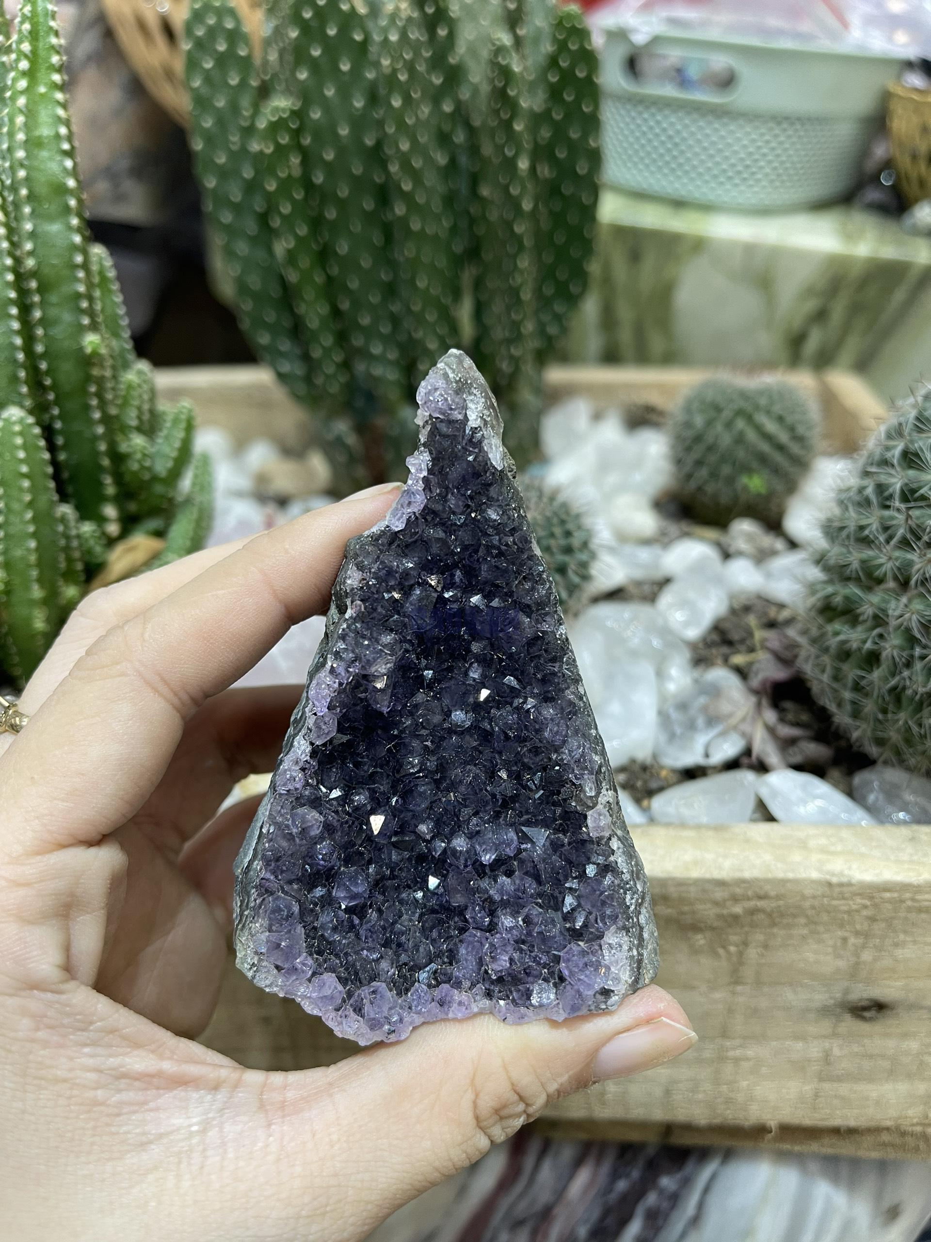 HỐC THẠCH ANH TÍM NHỎ - SMALL AMETHYST GEODE (TV102)