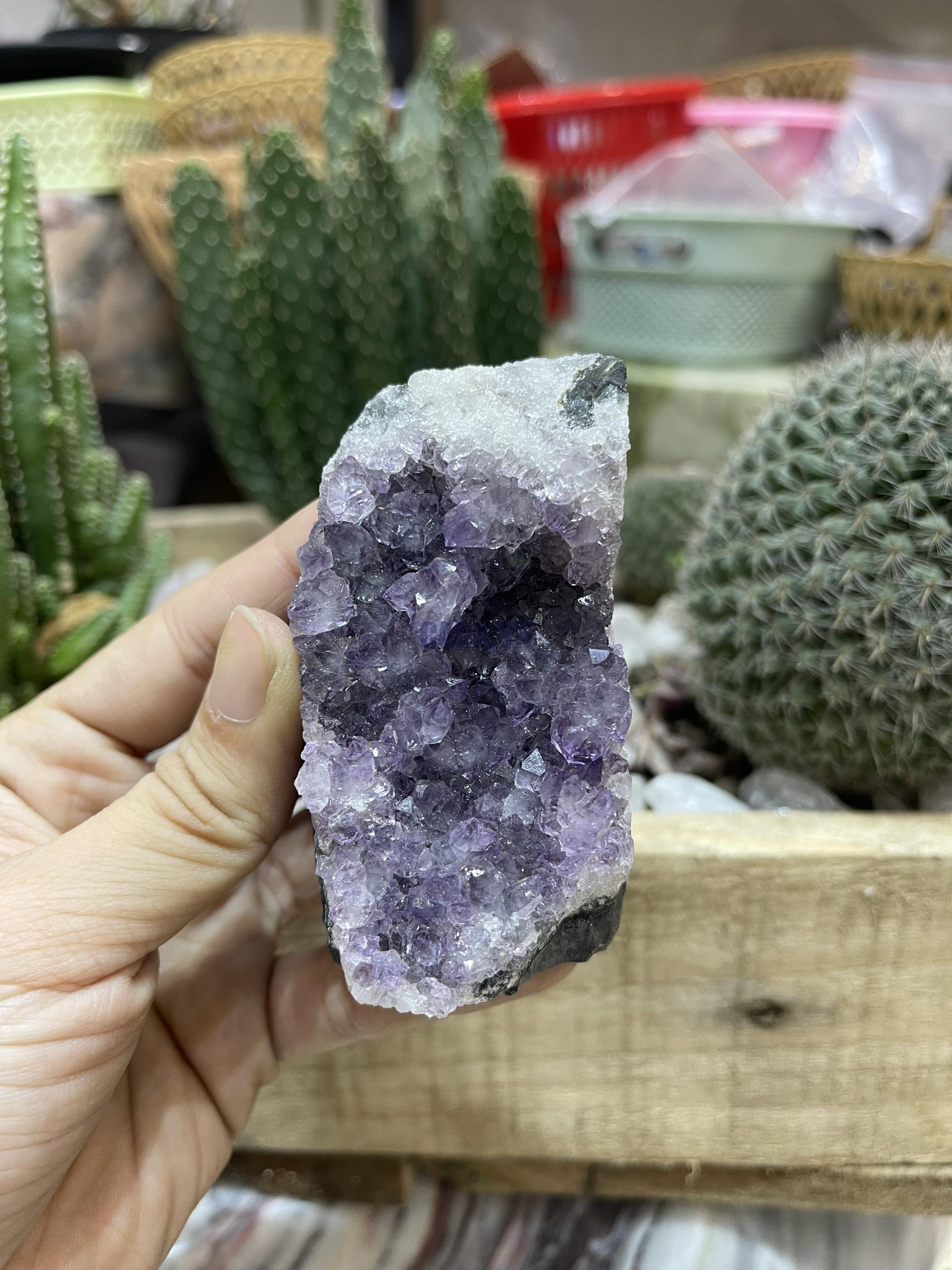 HỐC THẠCH ANH TÍM NHỎ - SMALL AMETHYST GEODE (TV110)
