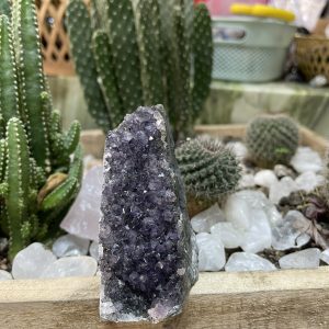 HỐC THẠCH ANH TÍM NHỎ - SMALL AMETHYST GEODE (TV120)