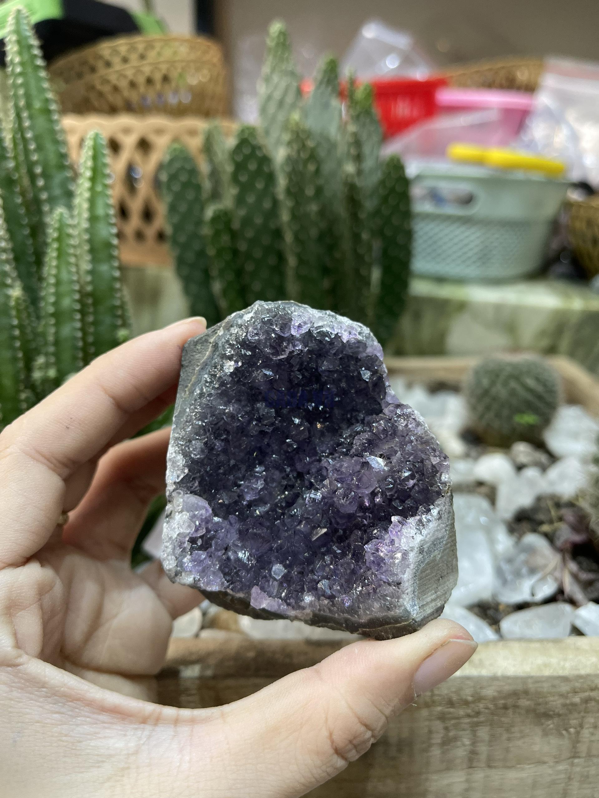 HỐC THẠCH ANH TÍM NHỎ - SMALL AMETHYST GEODE (TV122)