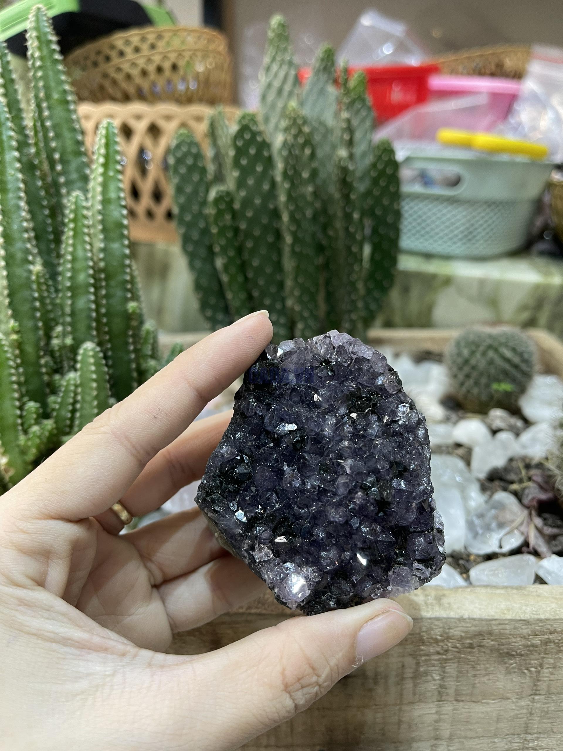 HỐC THẠCH ANH TÍM NHỎ - SMALL AMETHYST GEODE (TV123)