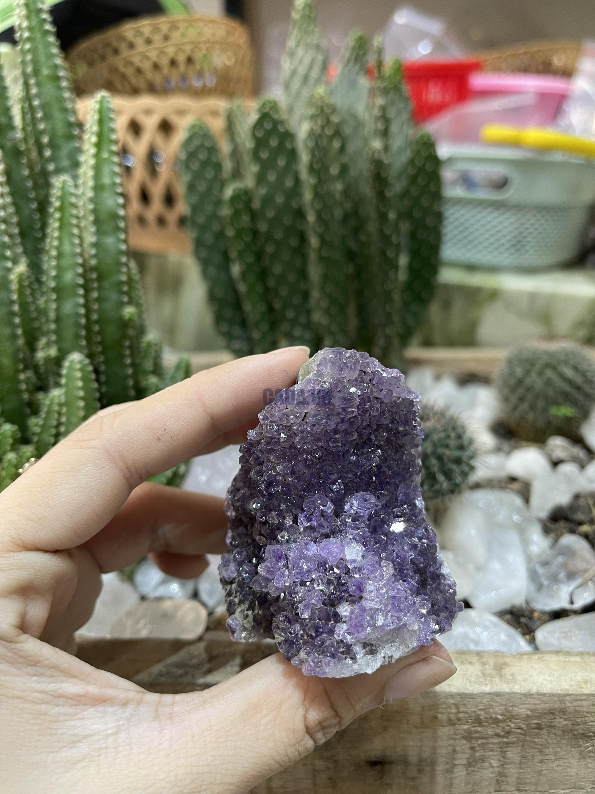 HỐC THẠCH ANH TÍM NHỎ - SMALL AMETHYST GEODE (TV125)